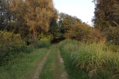 strada vicinale parco Mella Morta